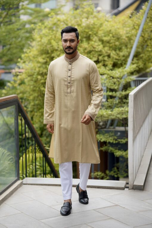 Light Brown Panjabi
